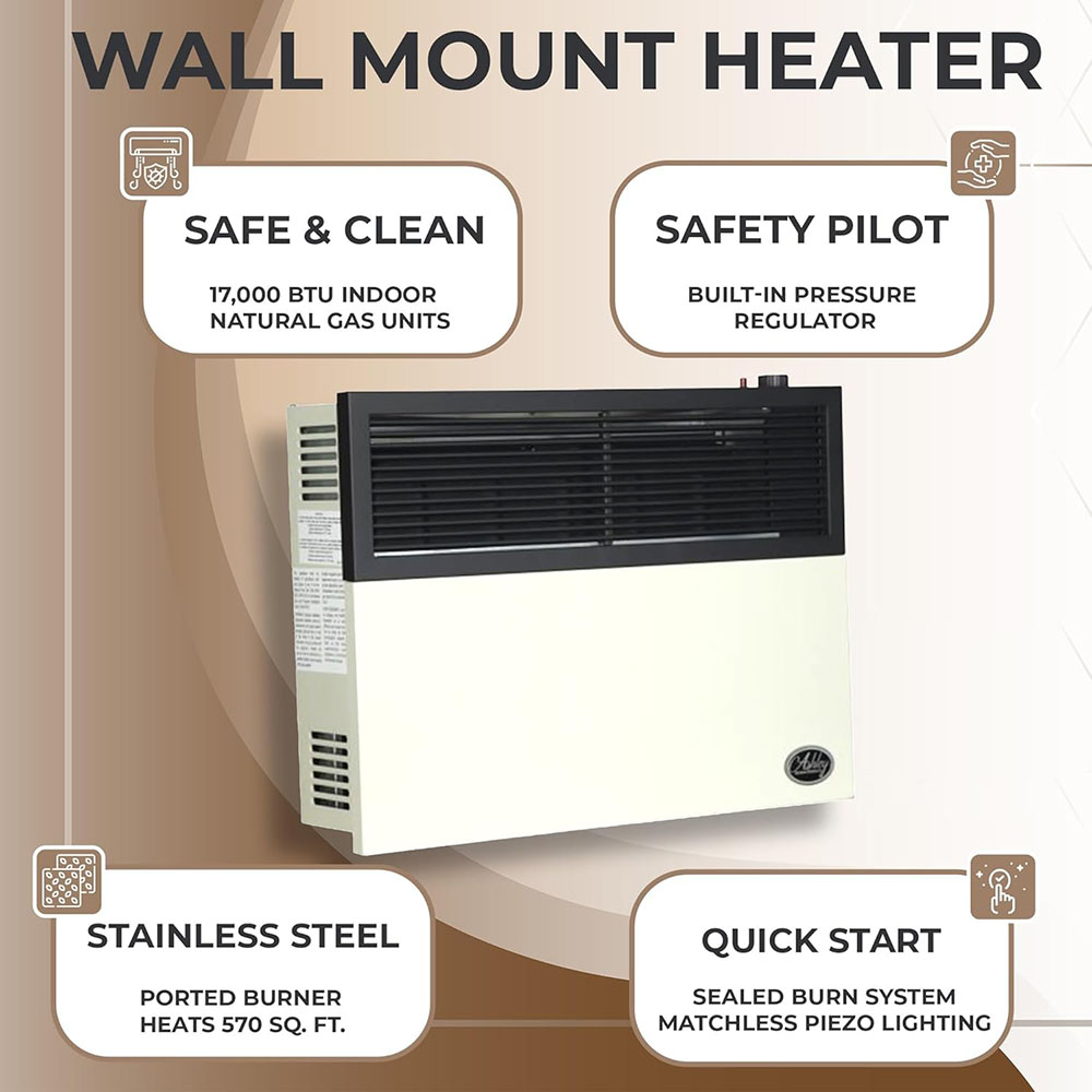 Ashley Hearth Products 17,000 BTU Direct Vent Liquid Propane Wall Mounted Heater with Piezo Lightning, Safety Pilot and Built in Regulator