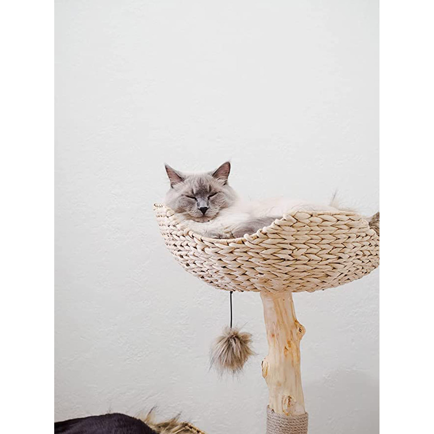 Modern Cat Tree Tower for Large Cats, Real Branch Luxury Cat Condo, Wood Cat Tower, Cat Scratching Tree, Cat Condo, Cat Lover Gift, Luxury Cat, Cat Gifts by Mau Lifestyle