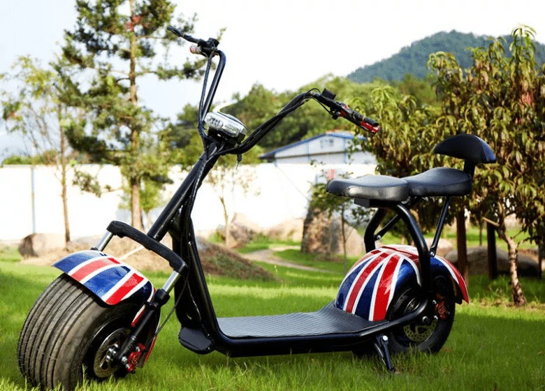 ADULT TRAM SCOOTER 60V 1000W